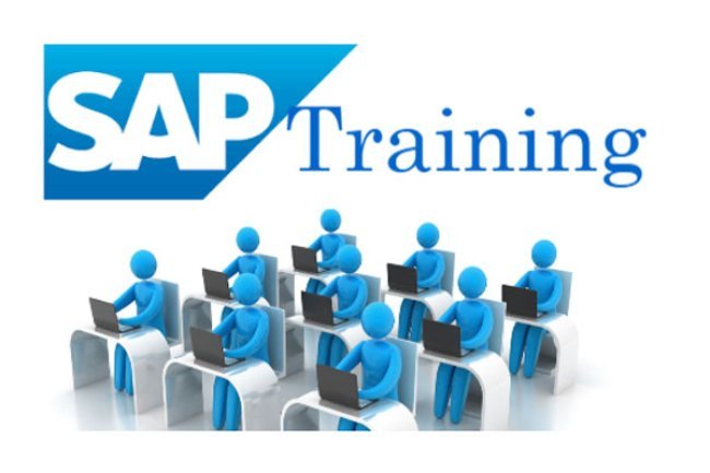 10+ Best Online SAP Training Institutes  in India 2023