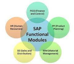 Which is the Best SAP Module in India?